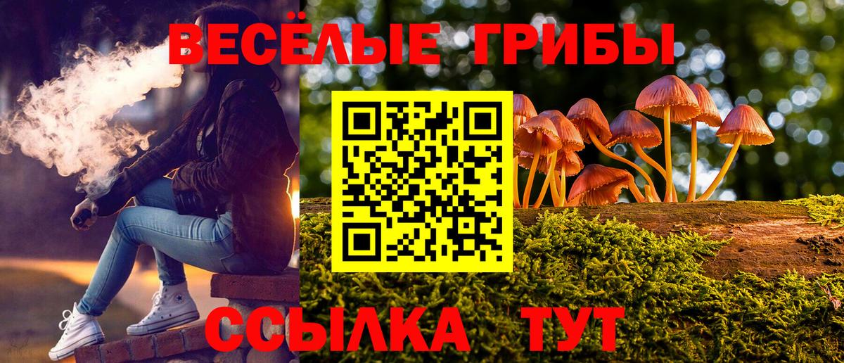 Качканар  Псилоцибиновые грибы ЛСД  Вход с VPN  Галлюциногенные грибы MAGIC MUSHROOMS 