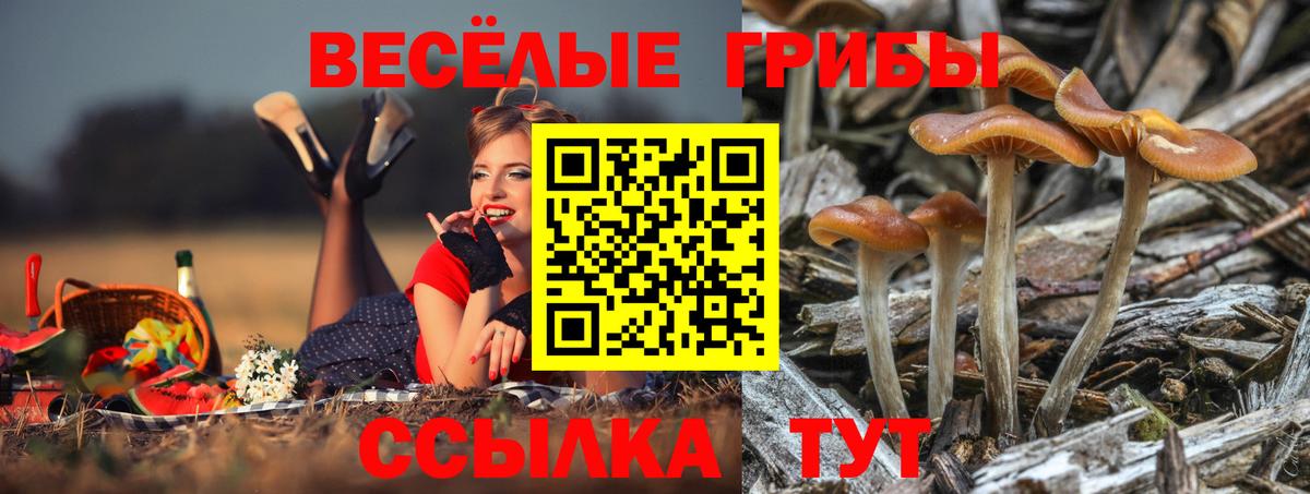 Псилоцибиновые грибы ЛСД Качканар